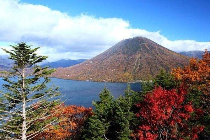Nikko Full-Day Private Tour with Government-Licensed Guide - Nature Core: Waterfalls, Lake Chuzenji, and Scenic Stops