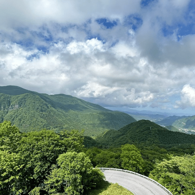 Nikko Heritage & Nature Day Trip from Tokyo - Private Ride from Tokyo That Actually Feels Private