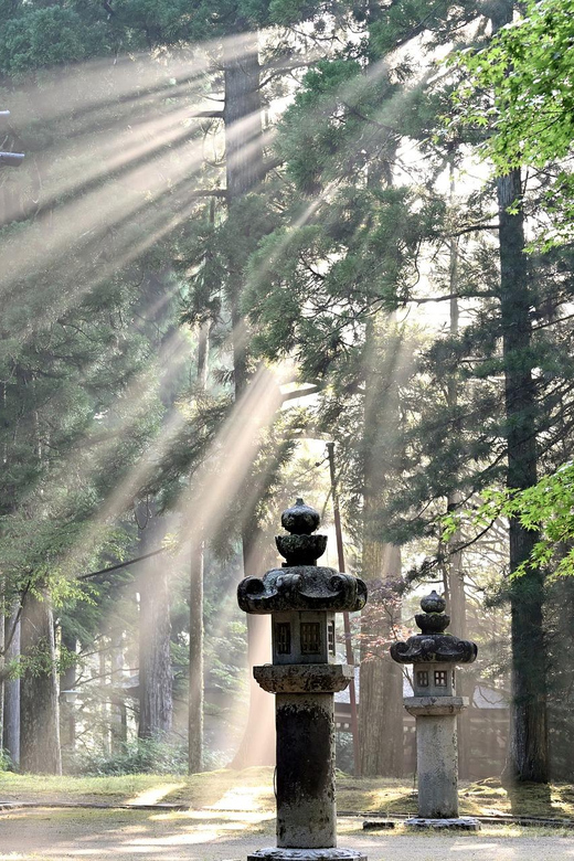 Nikko Heritage & Nature Day Trip from Tokyo - Irohazaka Road: Mountain-Route Views as You Climb