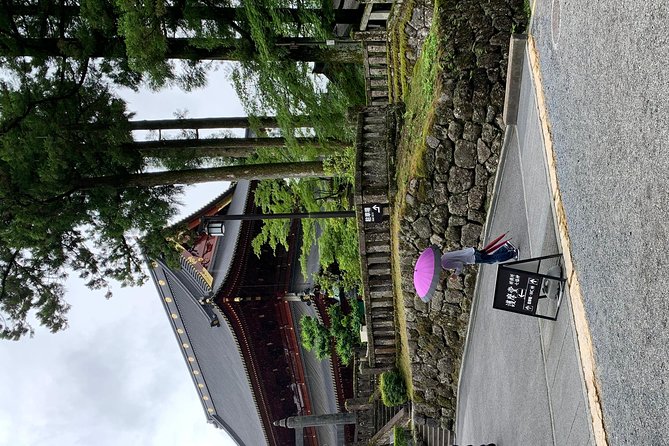 Nikko one day trip GREEN NUMBER PLATES - How Guides and Drivers Shape the Experience (From Great to Slightly Off)