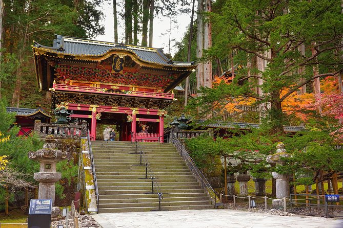 Nikko Private Car Tour – English Driver, Flexible Schedule - Why Nikko feels like a real break from Tokyo