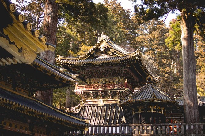 Nikko Private Day Tour from Tokyo with English-Speaking Driver - Stop 1: Your Tokyo pickup (and why departure timing matters)