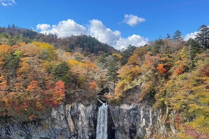 Nikko Private Day Tour with Guide by Car (from Tokyo) - Car Comfort, Pickup, and an English-Speaking Guide for Up to 5