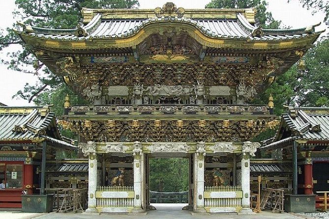 Nikko Private Tour by public transportation - Tokyo to Nikko by train: why this style of day works