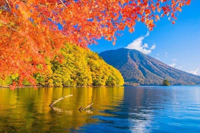 Nikko Private Tour from Tokyo with Licensed Guide and Vehicle - Smaller nature and history stops that add flavor: Kirifuri, Tamozawa, and more
