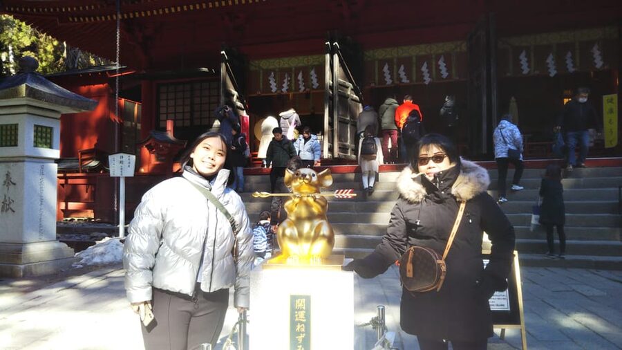 Nikko: Private Walking Tour with Local Guide - Tosho-gu Shrine: the carvings that make Nikko famous