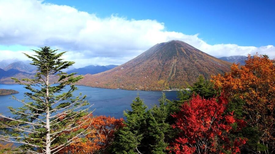 Nikko: Private Walking Tour with Local Guide - Kegon Falls at the base: seeing the 97-meter drop the useful way