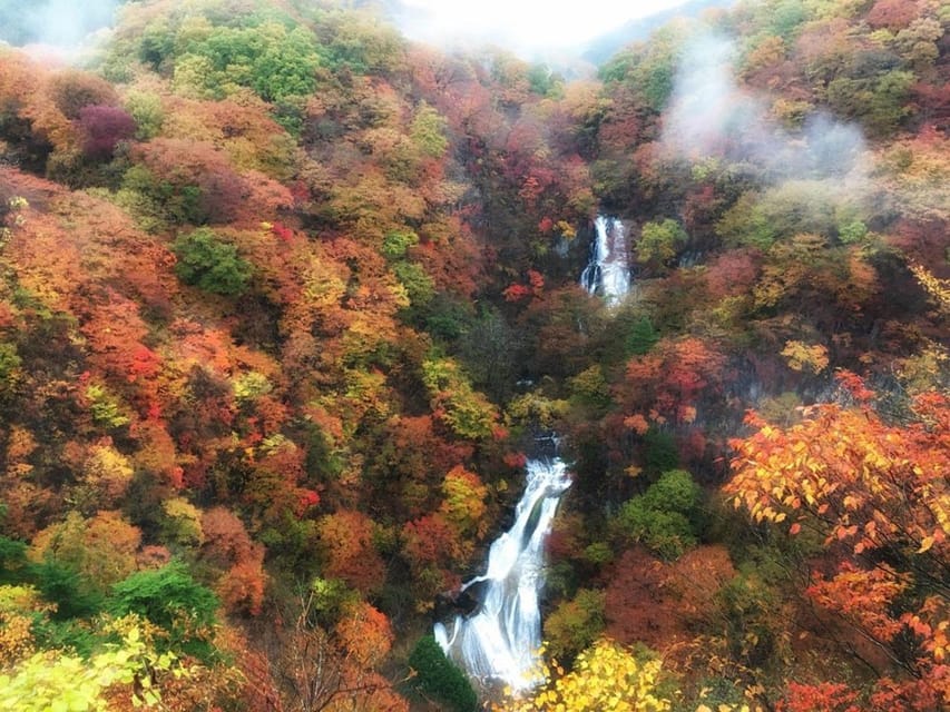 Nikko's Majestic Landscapes: Private Guided Tour - Rinno-ji and Futarasan Shrine: religion with atmosphere