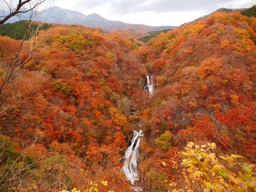 Nikko's Majestic Landscapes: Private Guided Tour - Nikkō National Park: waterfalls and lakes without the scrambling