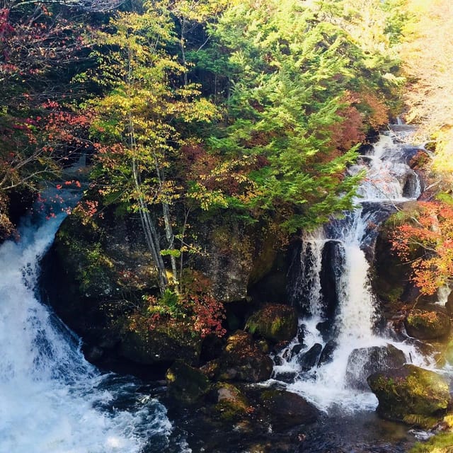 Nikko's Majestic Landscapes: Private Guided Tour - Lake Chūzenji: where the day turns scenic