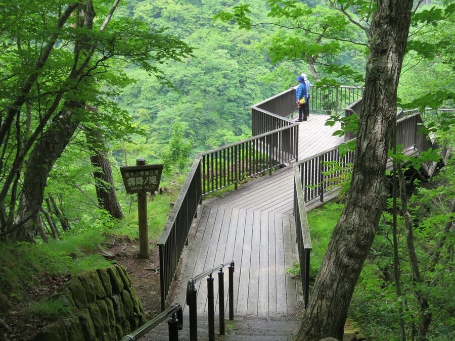 Nikko's Majestic Landscapes: Private Guided Tour - The last short stop and how to use your time