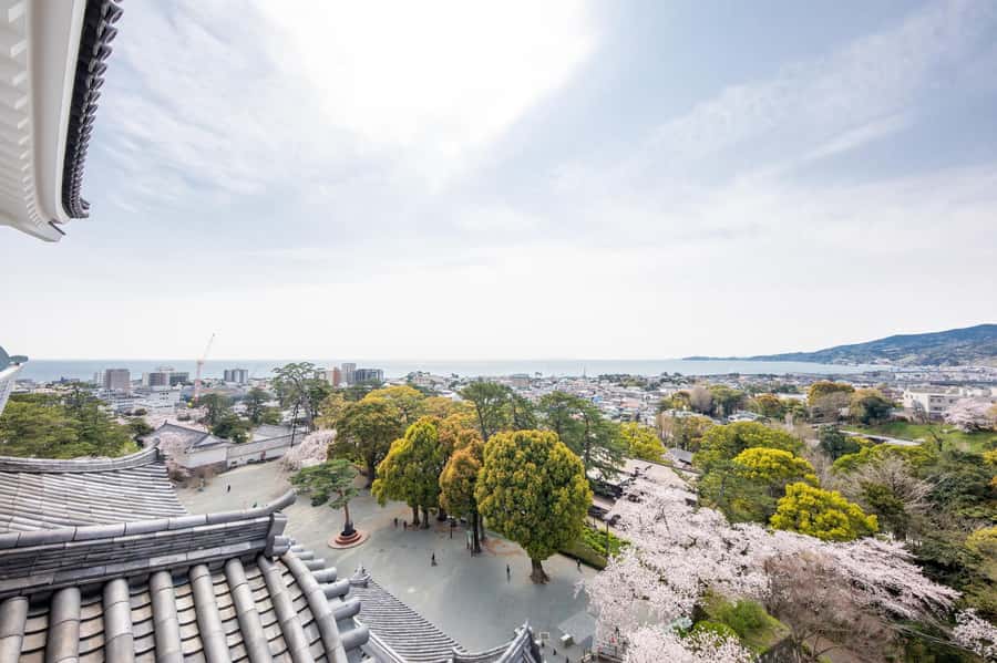 Odawara: Guided Ninja & Samurai Tour of Odawara Castle - Should you book the Odawara Ninja & Samurai Tour?