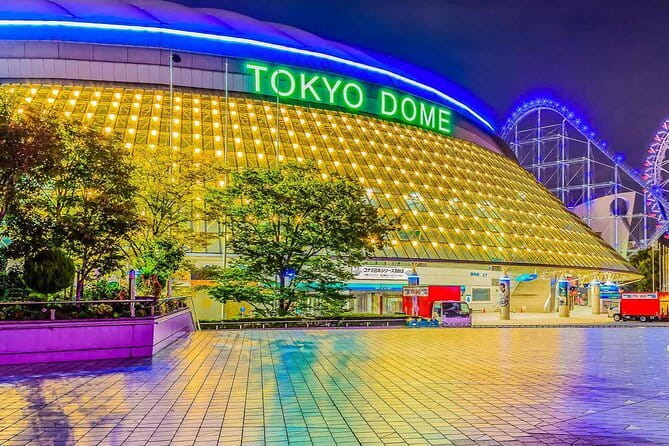 Official Japan Go-Kart Through Shibuya / Shinjuku (IDP Required) - Tokyo’s Heights: City Views From the Metropolitan Building Area