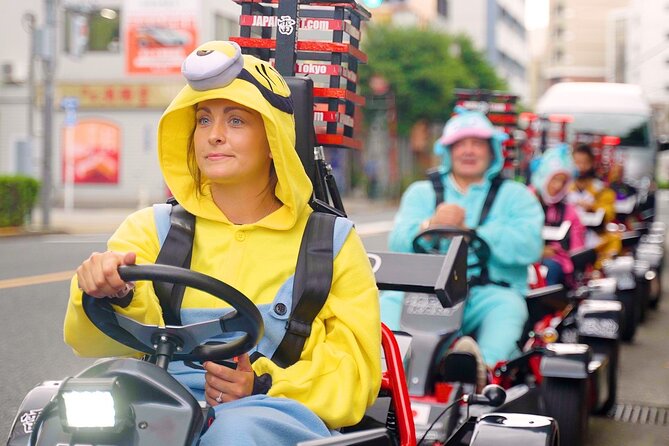 Official Japan Go-Kart Through Tokyo Bay / Ginza (IDP Required) - Meeting Point on Azumabashi and How to Show Up Calm