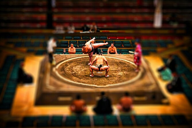 Official Sumo Tournament Ticket with Guided Experience - The main event: watching sumo at Japan’s most prestigious arena