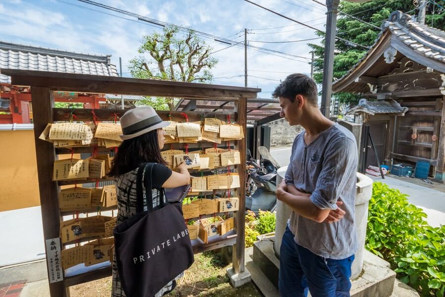 Old and Nostalgic Tokyo: Half-Day Yanaka Walking Tour - Small Group (Up to 8): The Real Upside of Not Being Crushed with Strangers