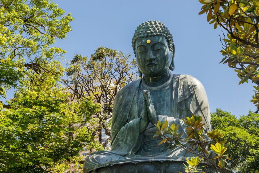 Old and Nostalgic Tokyo: Half-Day Yanaka Walking Tour - Pace, Rules, and Practical Tips That Keep the Tour Pleasant