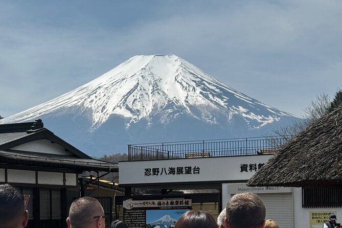 One day mountain Fuji & Hakone tour with English hindi bilingual - Mt. Fuji 5th Station at 2,300 Meters: The High-Altitude Moment