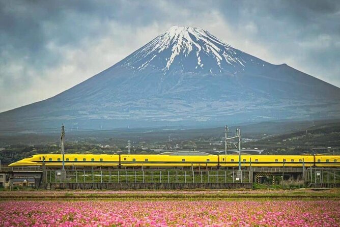 One day mountain Fuji & Hakone tour with English hindi bilingual - Lake Ashinoko and the Floating Torii Gate Cruise