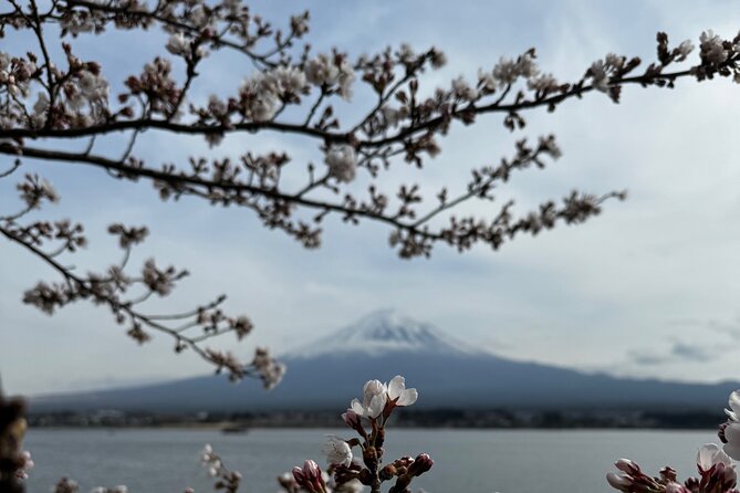 One day mountain Fuji & Hakone tour with English hindi bilingual - Owakudani Valley: Volcanic Hakone, Ropeway Access, and Black Eggs