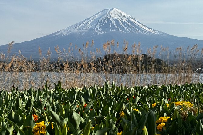 One day mountain Fuji & Hakone tour with English hindi bilingual - Who Should Book This Private Fuji & Hakone Tour?
