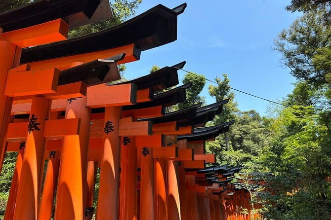 One Day Private Tour in Kyoto and Nara From Osaka - The driver-led style: what you should expect during the day