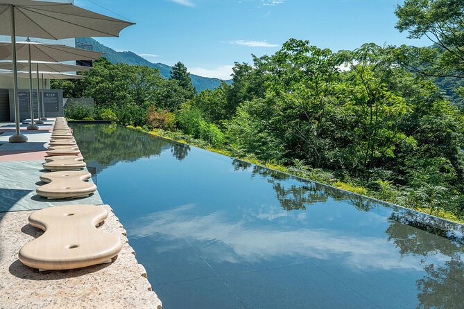 One day trip to Hakone from Tokyo with English speaking Driver - Hakone Shrine: Cedars, Lake Air, and a Calm Walk