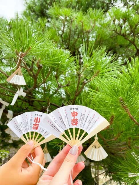Osaka: Kyoto By The Sea with Amanohashidate & Ine no Funaya - Amanohashidate Beach Break: Sea Air, Pine Walks, and Lunch at Your Pace