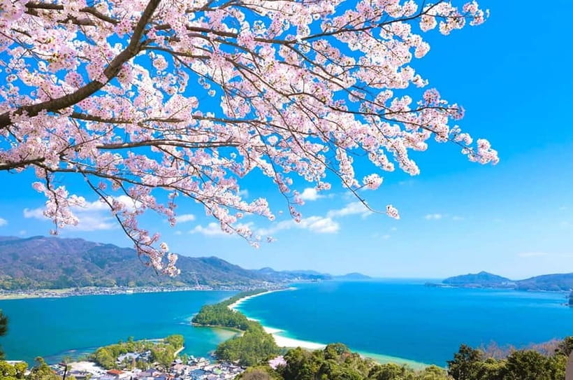 Osaka: Kyoto By The Sea with Amanohashidate & Ine no Funaya - Practical Notes: Who It Suits Best (and Who Might Want Something Different)