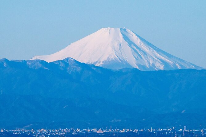 Private Airport transfer Haneda Airport(HND) to Tokyo City - English speaking expectations: a key reality check