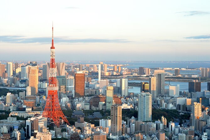 Private Airport transfer Haneda Airport(HND) to Tokyo City - Finding your driver at Haneda: the meeting point and real-world spotting
