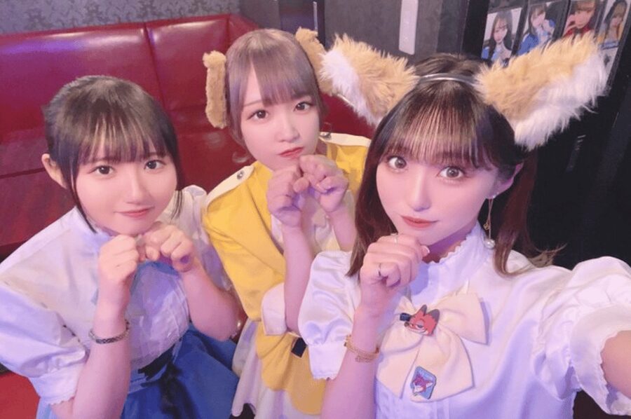 Private Akihabara Anime Game Maid Cafe Tour w/ free pickup - Key Points to Know Before You Go