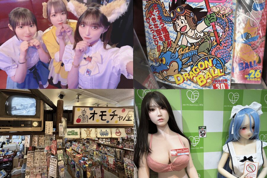 Private Akihabara Anime Game Maid Cafe Tour w/ free pickup - Akihabara Shopping Stops: Anime, Games, Manga, Retro, and Underground Finds