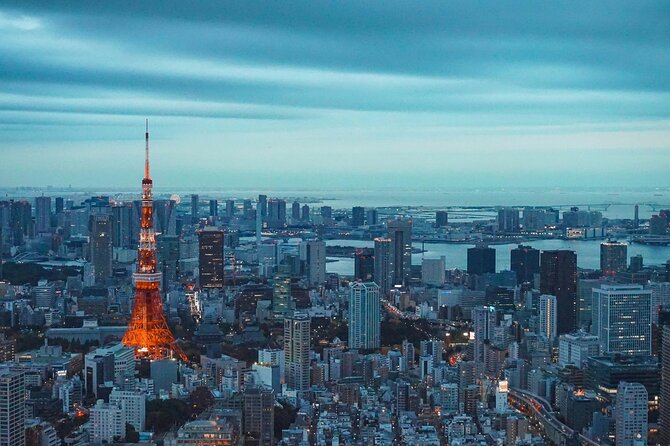 Private and Customisable Tokyo Tour with English Driver-guide - Price and value: $270 for up to 3, not per person