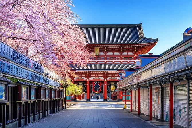 Private and Customisable Tokyo Tour with English Driver-guide - Stop 1: Tokyo Skytree for big skyline views (ticket extra)