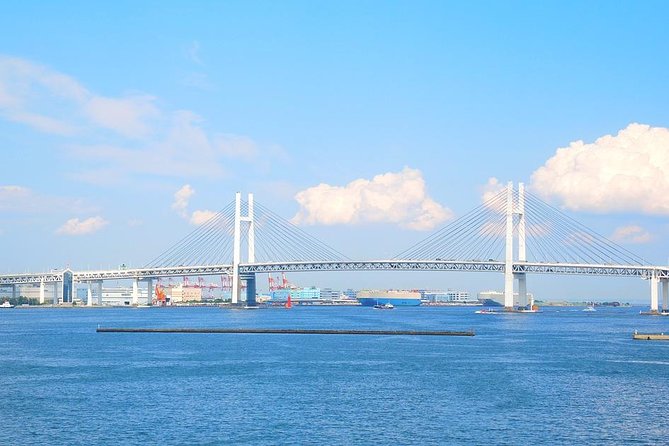 Private Arrival Transfer : Haneda Airport to Yokohama City - Door-to-Hotel in Yokohama: Why Luggage Handling Is the Real Service