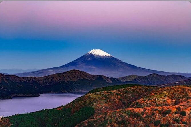 Private Car for Mt. Fuji 5th Station and more (customizable) - Lake Kawaguchiko’s reflecting pool: a gentler end to the day