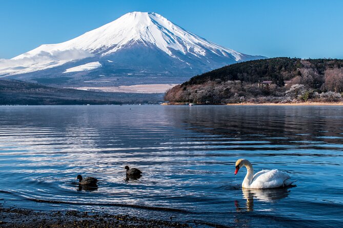 Private Car for Mt. Fuji 5th Station and more (customizable) - Timing, lunch, and comfort for a 10-hour plan