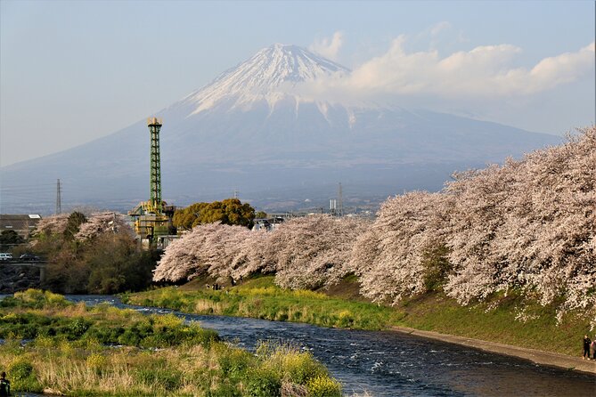 Private Car for Mt. Fuji 5th Station and more (customizable) - Oshino Hakkai spring waters: your first Fuji wow moment