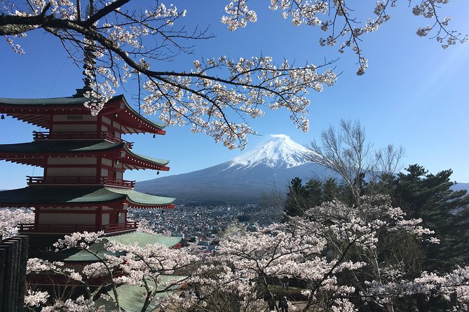 Private Car Mt Fuji and Gotemba Outlet in One Day from Tokyo - Oshino Hakkai and Oshino’s other side trips