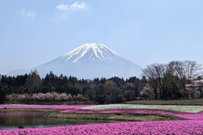Private Car Mt Fuji and Gotemba Outlet in One Day from Tokyo - Ropeway, Aokigahara caves, and the “choose-your-energy” part of the day