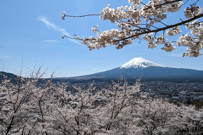 Private Car Tour to Mt. Fuji Lake Kawaguchiko or Hakone - Key highlights to look for before you book