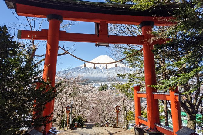 Private Car Tour to Mt. Fuji Lake Kawaguchiko or Hakone - What you get with a private car and a local guide