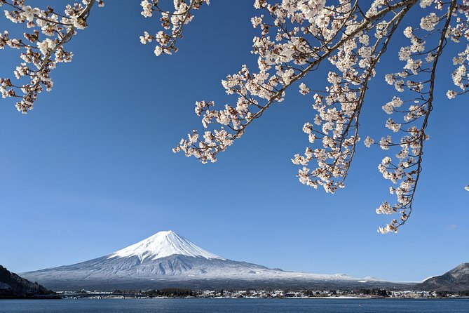 Private Car Tour to Mt. Fuji Lake Kawaguchiko or Hakone - Arakura Sengen Shrine and Chureito Pagoda: the classic Fuji angle