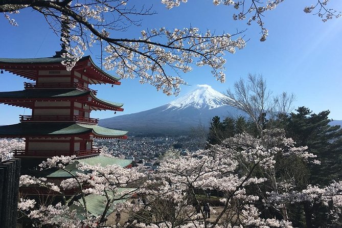 Private Car Tour to Mt. Fuji Lake Kawaguchiko or Hakone - Panoramas, ropeways, and museums when Fuji is shy