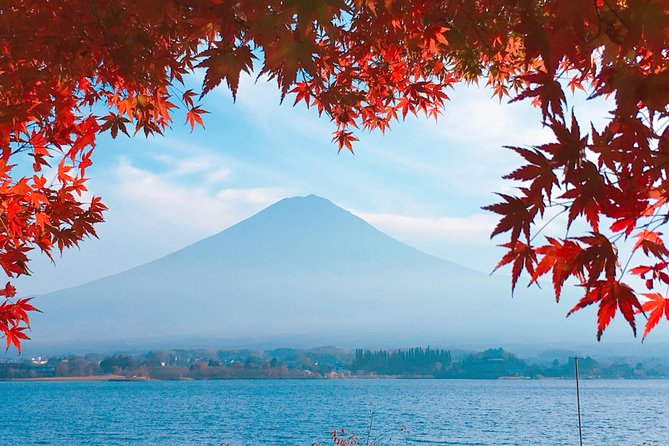 Private Car Tour to Mt. Fuji Lake Kawaguchiko or Hakone - Aokigahara caves: the adventurous side of the Fuji region