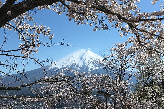 Private Car Tour to Mt. Fuji Lake Kawaguchiko or Hakone - When you choose the 5th Station: timing and real costs