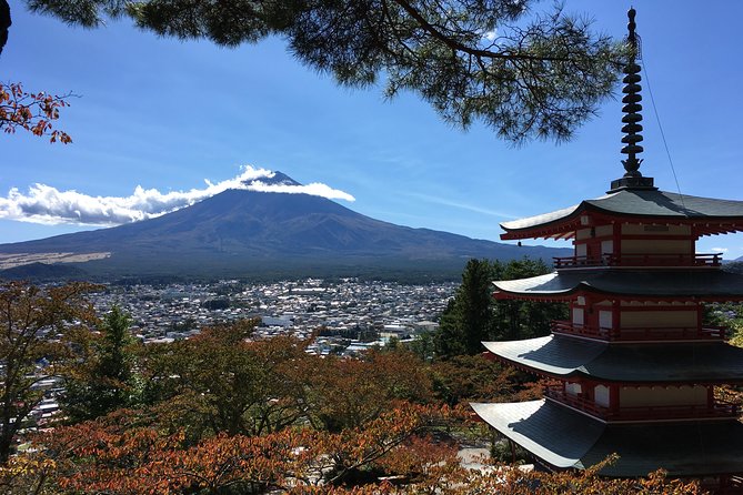 Private Car Tour to Mt. Fuji Lake Kawaguchiko or Hakone - Hakone add-ons: steam, shrine gates, and Lake Ashi cruises