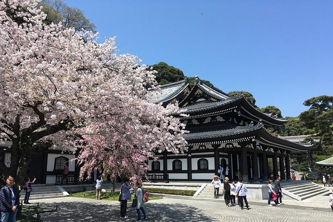 Private Car Tour to see Highlights of Kamakura, Enoshima, Yokohama from Tokyo - Hasedera Temple: Kannon, seasonal flowers, and the art of going at the right time