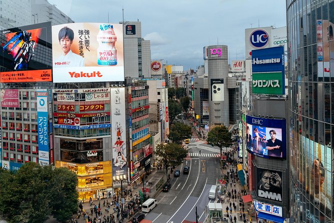 Private City Kickstart Tour: Tokyo - What This Tour Gets Right for First-Time Tokyo Trips